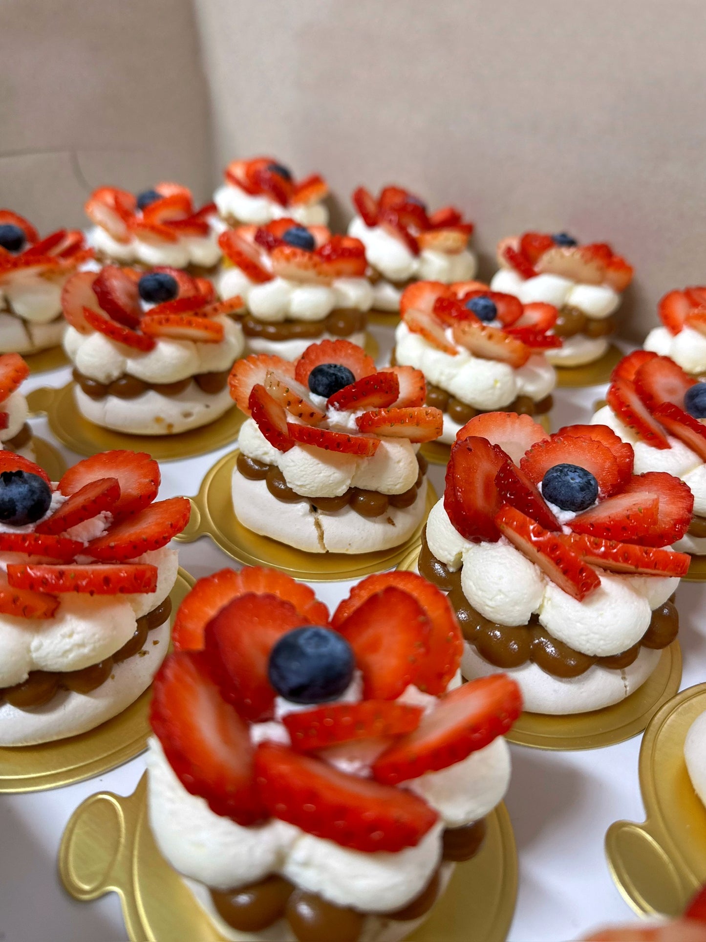 DOZEN GALA MINI PAVLOVAS